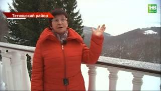 Где находится самая старая елка Татарстана?