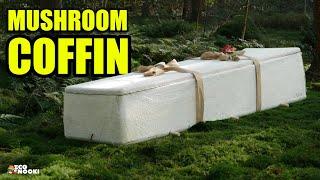 From Clothes to Coffins, MYCELIUM - The Eco friendly Wonder Material