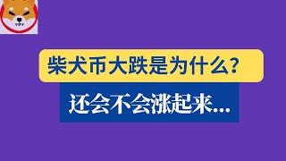 shib币 | 柴犬币 | 屎币1月19日最新行情分析，柴犬币大跌到底是为什么？还会不会涨起来？