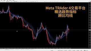 Meta TRAder 4外汇交易平台精选趋势指标顾比均线分享