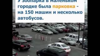 Барыга 80 левел
