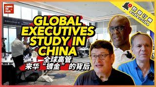 Global Business Pivot to China! Why World Top Executives Want to Study China Model?