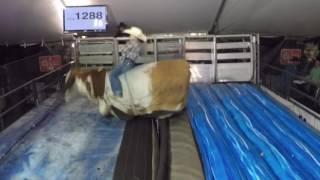 BXing Orion (Shark Bait) riding the Mechanical Super Bull in Las Vegas