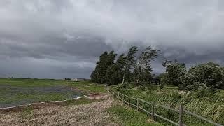 Storm Edouard, Pärnumaa, Estonia