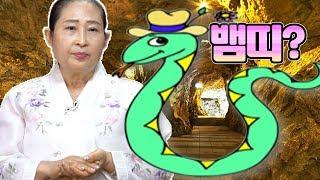 2019년 뱀띠! 조심할게 이렇게 많은데 안보고 어딜가?! [점점tv]