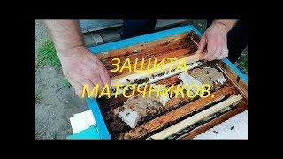 Изоляция маточников.