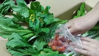 Unboxing fresh organic vegetable from #Terra FarmOrganic#Malaysia#bluehandcarecentre #rawang