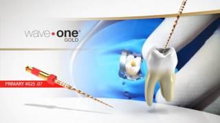 WaveOne® Gold - Product overview with Dr. Bergo | Dentsply Sirona