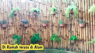 DEKORASI TAMAN RUMAH DENGAN TANAMAN HIAS VERTIKAL GARDEN TERASA BERADA DI ALAM TERBUKA