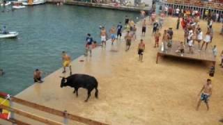 Bous a la Mer (Bulls by the Sea)  Denia 2010 (9)