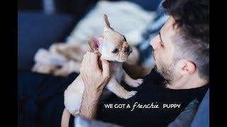 WE GOT A FRENCH BULLDOG PUPPY!