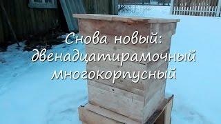 Снова новый: двенадцатирамочный многокорпусный улей.