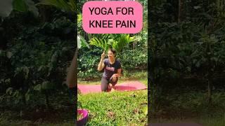 Yoga for knee pain#kneepain #kneepainrelief #knee #yoga #yogaforbeginners #yogaforkneepain #yogi