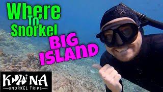 The Best Kona Snorkeling Spot, Pawai Bay | Kona Snorkel Tours