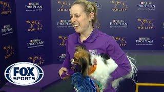 Gabby captures the 8" division title at the 2019 WKC Masters Agility | FOX SPORTS