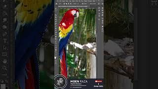 Background Blur | Photoshop Tutorial by Design Skills | #photoshop #designskills