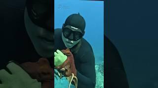 The Professional Underwater Hunters of Hawaii. #fishing #spearfishing