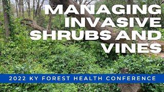 Managing Invasive Shrubs and Vines