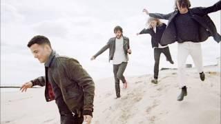 The Vaccines Greatest Hits - The Best Of The Vaccines