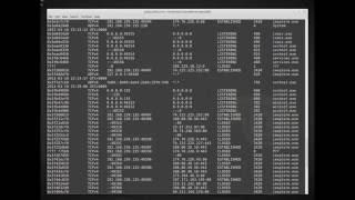 Digital Forensic Memory Analysis - Volatility