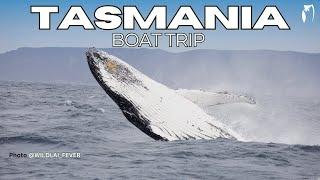 EAGLEHAWK NECK BOAT TRIP - TASMANIA