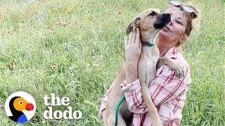 Puppy Who Was Dumped In A Field Saves Another Dog | The Dodo