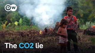 From reforestation to CO2 compensation - Companies' dirty tricks | DW Documentary