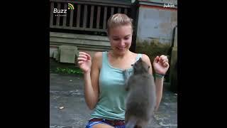 Naughty animals playing with girls