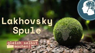 Lakhovsky-Spule zur Pflanzenbelebung verwenden