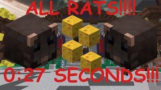 0:27 RAT WORLD RECORD (Hypixel Skyblock)