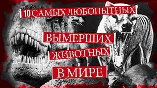 10 самых любопытных ВЫМЕРШИХ ЖИВОТНЫХ В МИРЕ! ИСЧЕЗНУВШИЕ ВИДЫ. Черная книга. Удивительное рядом