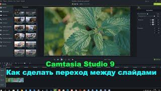 Camtasia Studio 9  Как сделать переход между слайдами