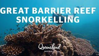 Best places to snorkel in Cairns & Great Barrier Reef