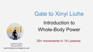 Gate to Xinyi Liuhe - Lesson breakdown