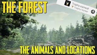 The Forest - Trophy Hunter (Locations/Animals)