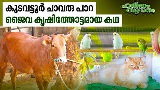 ഷാജിയുടെ റോക്ക്സ് ഫാം | Shaji's Rocks Farm, Kudavattoor | Haritham EP 466