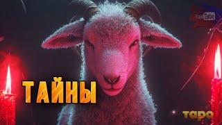 ️ТАЙНЫ️РАСКРОЕМ ПРАВДУ⁉️