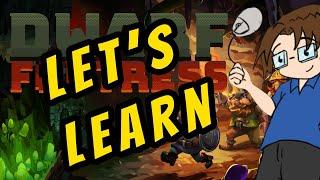 Let's Learn: Dwarf Fortress - Beginner-friendly fort! - Ep 1