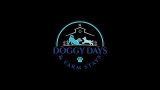 WELCOME TO DOGGY DAYS FARM STAYS