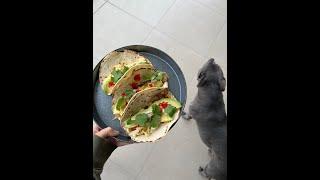 Babe wanted breakfast tacos