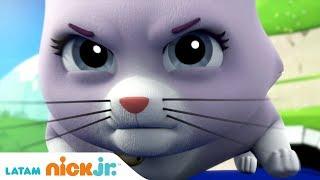 Paw Patrol | Momentos Divertidos!  | Nick Jr.