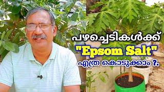 പഴചെടികൾക്ക്  " Epsom Salt " കൊടുക്കേണ്ട വിധം  | Fertilizer for Fruit Plants Malayalam | QA - 80