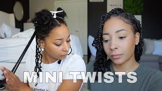 Mini Twists | Natural 3B/3C Hair
