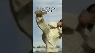 Leopard Techniques from Shaolin #kungfu #martialarts #shaolinkungfu #shaolin
