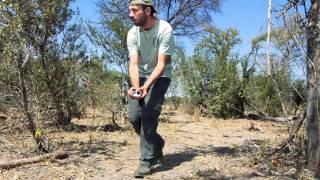 Captured on camera: the most elusive animals of Namibia