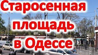 Старосенная площадь в Одессе. Что посмотреть, куда пойти с детьми. Достопримечательности Одессы