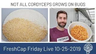 All About Cordyceps (FreshCap Friday Live 10-25-2019)