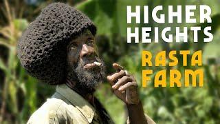 Hike to Higher Heights! Rasta Style Slow Farming in the Mountains of JAMAICA