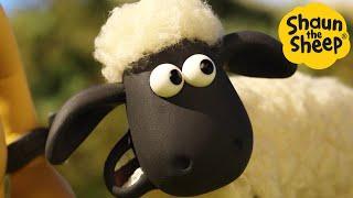 Shaun the Sheep  What could go wrong? - Cartoons for Kids  Full Episodes Compilation [1 hour]