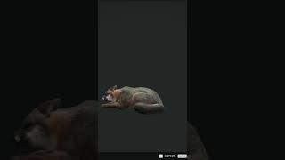 So I guess there are trains in this game...  | theHunter: Call of the Wild #shorts